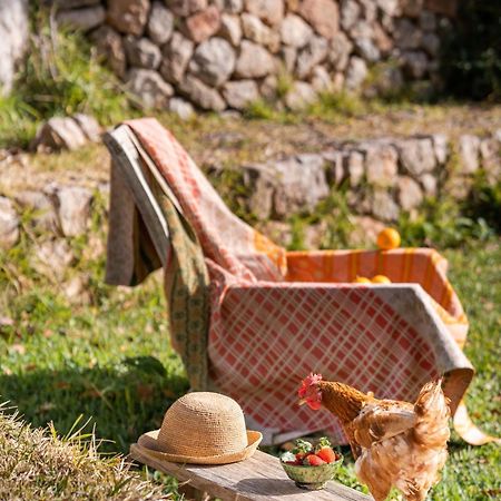 Agroturismo Son Viscos Valldemossa  Luaran gambar