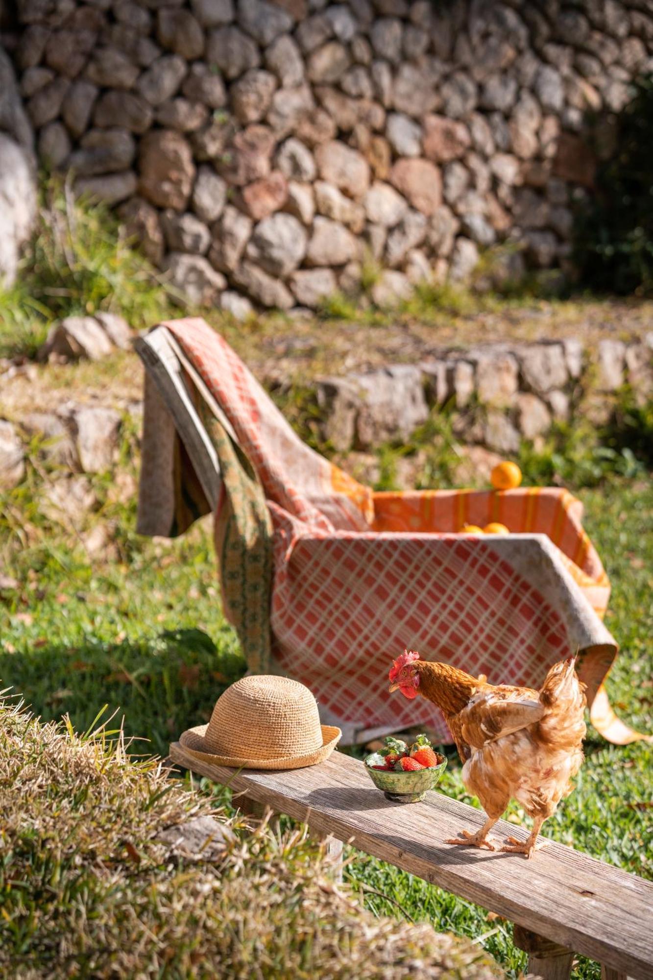 Agroturismo Son Viscos Valldemossa  Luaran gambar