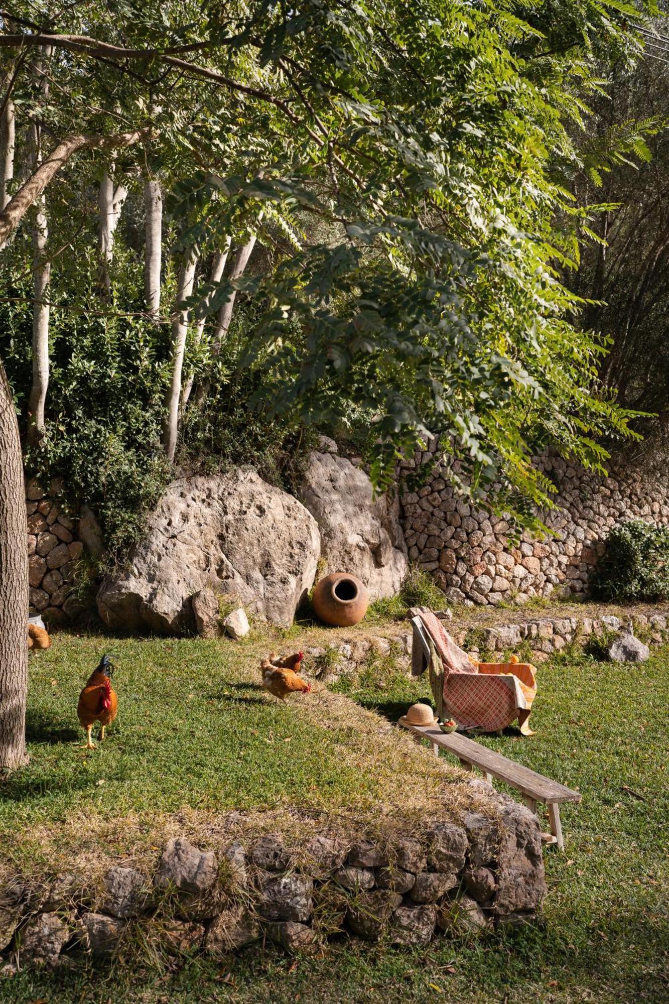 Agroturismo Son Viscos Valldemossa  Luaran gambar
